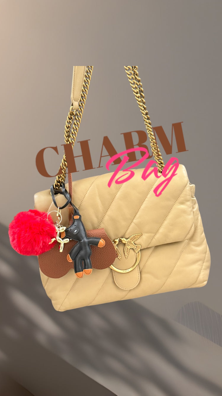 Charms Bag
